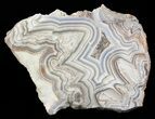 Polished, Crazy Lace Agate Slab - Mexico #60986-1